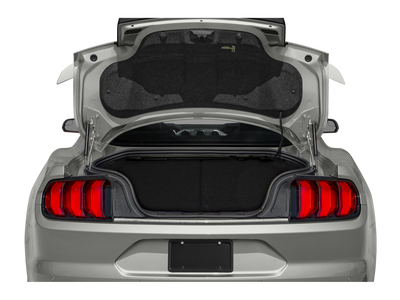 2019 Ford Mustang GT Premium Enhanced Security Package