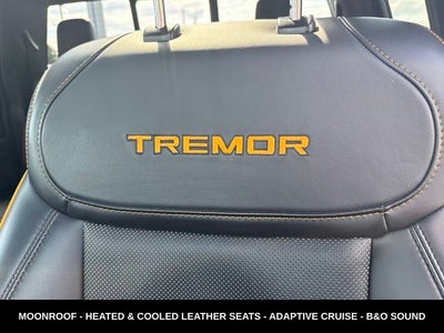 2023 Ford F-150 Tremor 5.0 V8