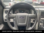 2014 Ford F-150 FX4 5.0 V8