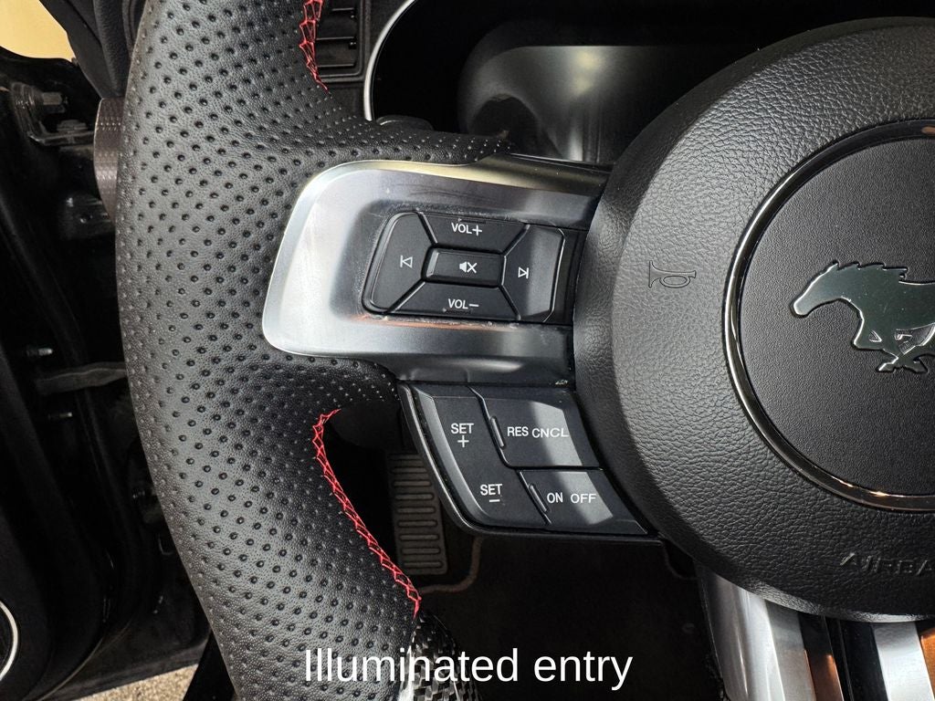 2019 Ford Mustang GT Premium Enhanced Security Package