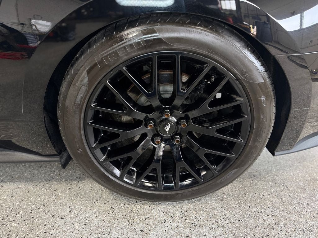 2019 Ford Mustang GT Premium Enhanced Security Package