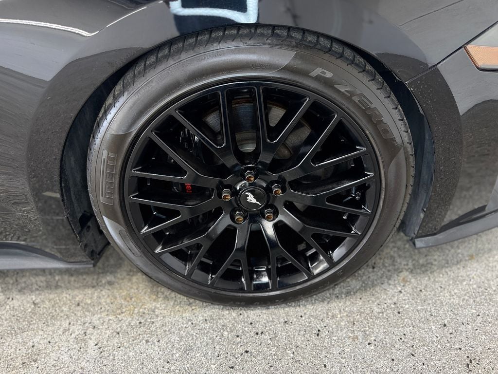 2019 Ford Mustang GT Premium Enhanced Security Package