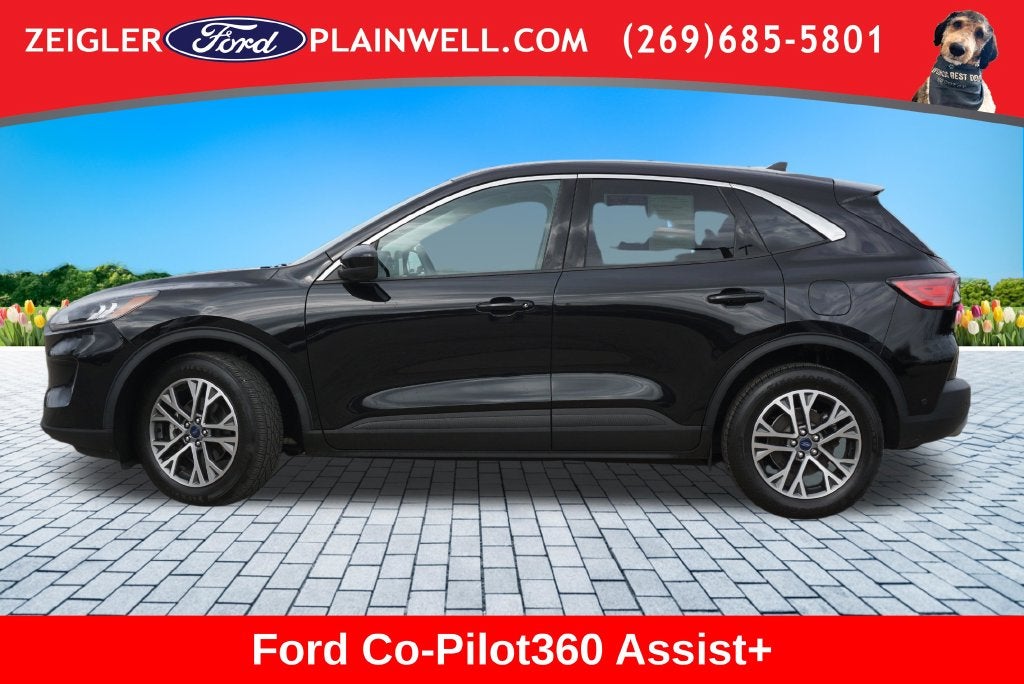 2022 Ford Escape Hybrid SEL