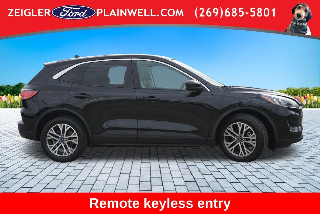 2022 Ford Escape Hybrid SEL