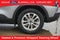 2022 Ford Escape SE NAVIGATION COLD WEATHER PKG CO PILOT 360