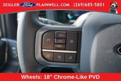 2025 Ford F-150 XLT Crew Cab 4x4 Chrome Pkg 5.0L V8