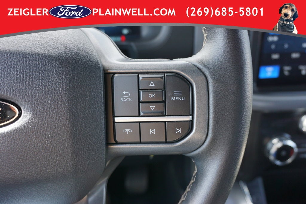 2025 Ford F-150 XLT Crew Cab 4x4 Chrome Pkg 5.0L V8