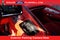 2024 Chevrolet Corvette Stingray 3LT