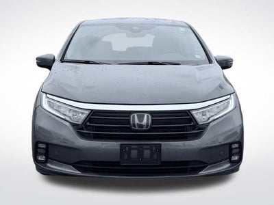 2024 Honda Odyssey Elite
